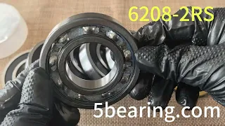                                          دندنها
