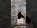 Who signed for my package UPS