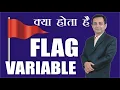 What is Flag variable in Hindi Dr Kapil Govil