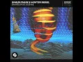 Shapes (feat. Roshin) - Shaun Frank & Hunter Siegel