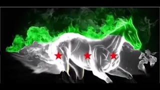 قالو انها وعد نحن عصبه الاسد 