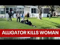 Massive alligator kills woman walking her dog next to pond