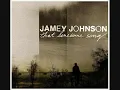 Jamey Johnson - High Cost Of Living    W/ Lyrics