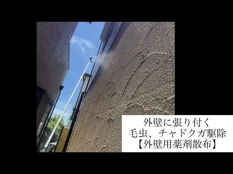 【菜園、樹木、外壁にも対応!!】外からの害虫駆除、予防致します！