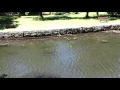 Relaxing day in Nutley NJ