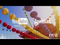 The Partner Orbs - The Farmer In The Dell & Blue Skies | RaveDj