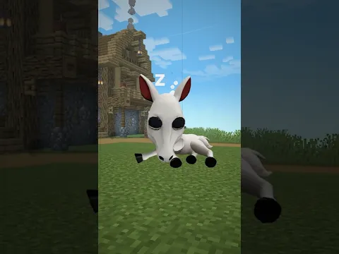 INI YANG TERJELEK 💀💀