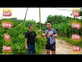 Download Lagu Thử Thách Cho Anh Hiếu Khổng Lồ Câu Bằng Cần Tre