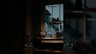 تلاوة طيبة للشيخ سعد الغامدي Quran 