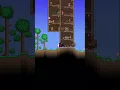 Magic Mirror and Recall Potion Terraria