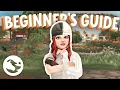the Beginner s Guide to Star Stable Online SSO Guide
