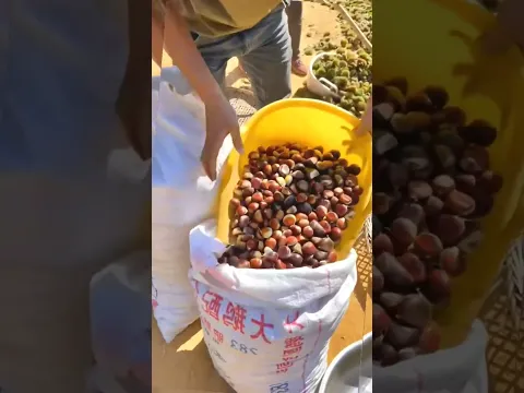 #shorts #agricultural #agriculture #farming #agro #farmlife #agri #technology #farm #food #diy