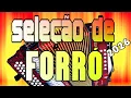 Lagu Seleção de forró 2026, piseiro guitarrada nerão, xote, Vanerão música CE PE hits song RS BA SP RJ MG