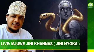 LIVE MJUWE JINI KHANNAS JINI NYOKA SHEIKH AL MENDHIR 