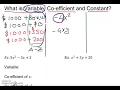 What Are Variables Coefficients and Constants