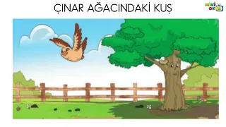 3. Sınıf  Türkçe  Dersi Çınar Ağacındaki Kuş Dinleme Metni