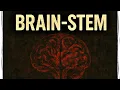 Brain Stem