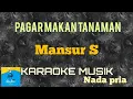Download Lagu PAGAR MAKAN TANAMAN - MANSUR S (Karaoke musik )Nada pria#Official