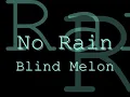 Blind Melon - No Rain - Lyrics