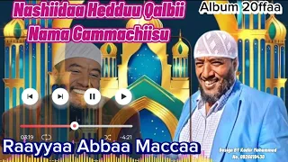 Nashiidaa Album 20ffaa RaayyaaAbbaamaccaaofficial New Ethiopia Nashiidaa Highlight 