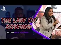 Lagu The Law of Sowing - Pastor Erica Goodman
