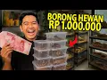 Download Lagu BORONG BANYAK HEWAN SEKALIGUS TOTALNYA RP 1.000.000! PADA TURUN HARGANYA??