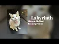 Labyrinth - Miracle Musical (sped up) 1 Hour Loop