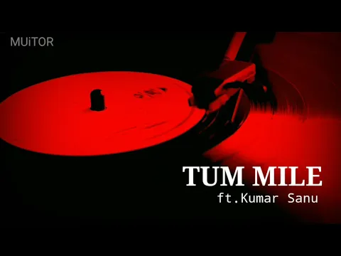 Download MP3 Tum Mile Dil Khile (REVERB \u0026 SLOWED) Alka Yagnik, Kumar Sanu