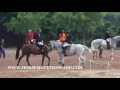 FEI World Cup™ Jumping Southeast Asian League CSI*-W 2015 Final