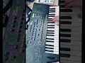 Download Lagu Korg MS2000 Synth Solo 🎹🎛️#korg #synth #shorts