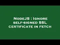 NodeJS Ignore self-signed SSL certificate in fetch