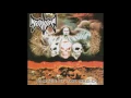 Download Lagu NECROPSYA - WAR AND PAIN