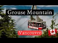 GROUSE MOUNTAIN VANCOUVER What it s like and things to do when you visit