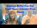 Blueberrymuffin Cannabis Strain Review with MissMidas420x