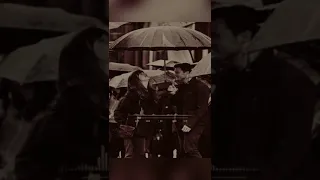 انا قلبي ليه حالات واتس كارول سماحه حالات واتس 