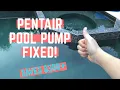 Pentair Pool Pump Not Working Capacitor Replacement and Troubleshooting Save 300