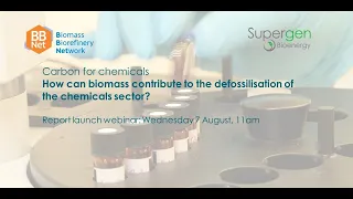 Online report launch: Carbon for chemicals and the role of biomass
