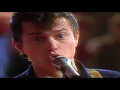 Spider Murphy Gang   Schickeria 1982