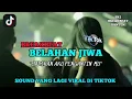 Download Lagu DJ BELAHAN JIWA \
