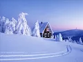 Paul McCartney - Wonderful Christmas Time