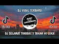 Lagu DJ SELAMAT TINGGAL X TAHAN NI LUKA || LANARMX
