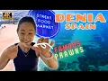 Lagu Denia Spain- Spain Street Food Market!  Delicious Deep Sea Prawns! 4K