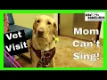 Service Dog Vet Visit Banfield Wellness Plan vs Embrace Pet Insurance