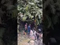 Download Lagu pura pura ngk lihat 😂🤣 #trending #funny