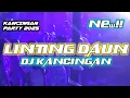 Lagu DJ KANCINGAN🌴🌴 LINTING DAUN - REMIX!! #kancinganparty 