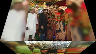 یاراں نال بہاراں 