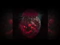 Infant Annihilator - Horizons of Flesh (Lyrics