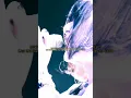 Download Lagu lirik lagu kokoronashi oleh majiko
