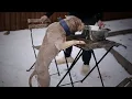 How I BUILD MUSCLE on my Dogs