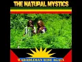 Download Lagu Ganja Field / The Natural Mystics / Wadadliman Rise Again